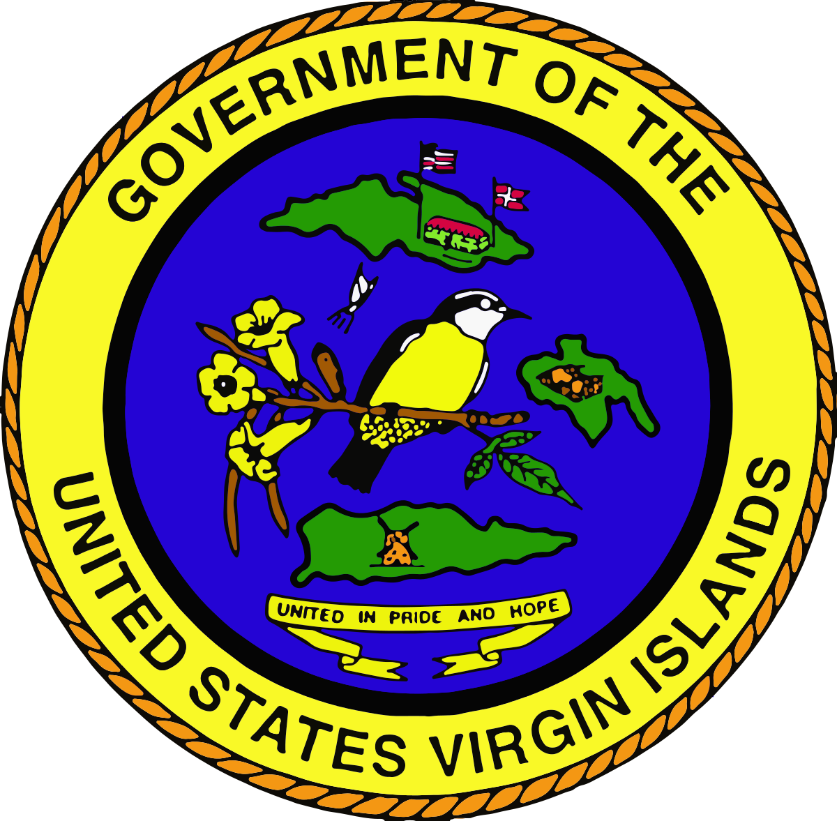 government of the usvi